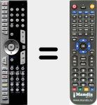 Replacement remote control for 40032570