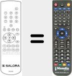 Replacement remote control for RCS 800