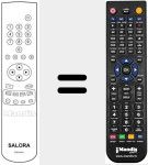 Replacement remote control for RCN 621