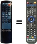 Replacement remote control 300 TS 011