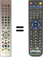 Replacement remote control Grandin Y10187R
