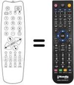 Replacement remote control 1007091008 (90 CHANNELS)
