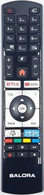 Originalfernbedienung SALORA RC4318P (23728363)