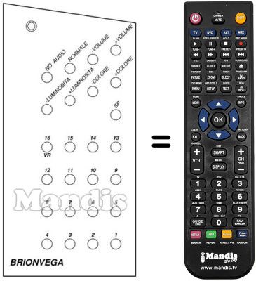Replacement remote control 16 CHANNELS US