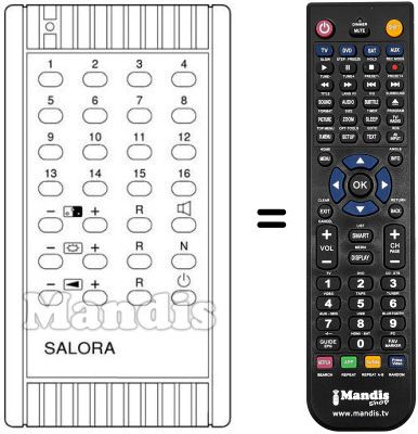 Replacement remote control 6081011