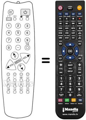 Replacement remote control 1007092010