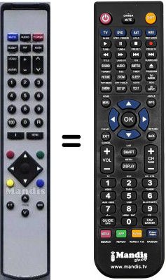 Replacement remote control RJ-9801E