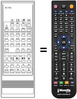 Replacement remote control IR 1791