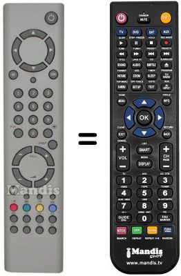 Replacement remote control Fenner FTV 42 PL