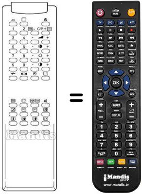 Replacement remote control RM 113 (43 KEY)
