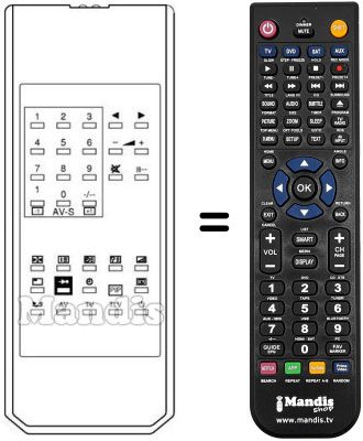 Replacement remote control TELECOMPUTER OSD