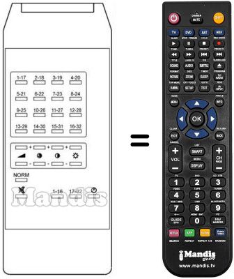 Replacement remote control PRINCE TVC 32 PROG
