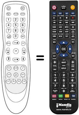 Replacement remote control TELEWIRE 3102 F