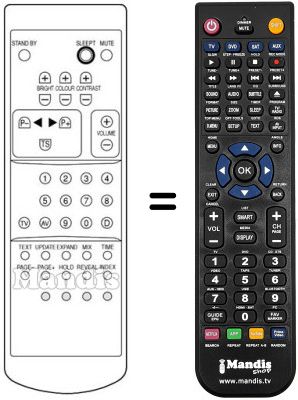 Replacement remote control Protech CTV5579T