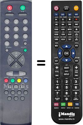 Replacement remote control RC2040 Replacement remote control RC2040