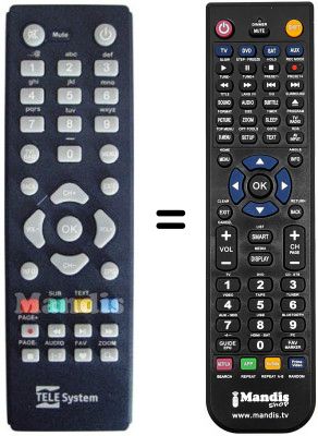 Replacement remote control Telesystem TS3001